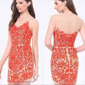 Bebe Orange Mesh Dress
